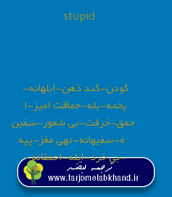 stupid به فارسی
